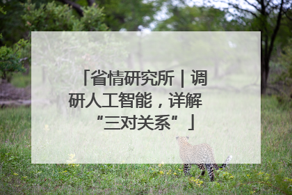 省情研究所｜调研人工智能，详解“三对关系”