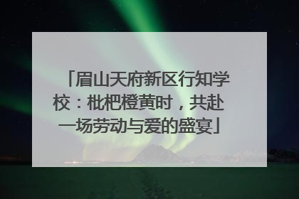 眉山天府新区行知学校：枇杷橙黄时，共赴一场劳动与爱的盛宴