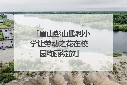 眉山彭山鹏利小学让劳动之花在校园绚丽绽放