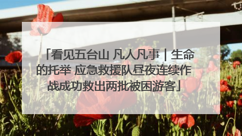 看见五台山 凡人凡事｜生命的托举 应急救援队昼夜连续作战成功救出两批被困游客
