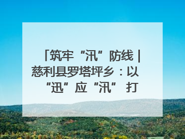 筑牢“汛”防线｜慈利县罗塔坪乡：以“迅”应“汛” 打赢暴雨防御战