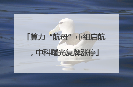 算力“航母”重组启航，中科曙光复牌涨停
