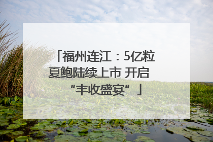 福州连江：5亿粒夏鲍陆续上市 开启“丰收盛宴”