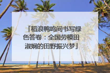 稻浪鸭鸣间书写绿色答卷：全国劳模田淑娴的田野振兴梦
