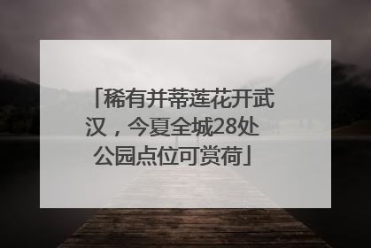 稀有并蒂莲花开武汉，今夏全城28处公园点位可赏荷