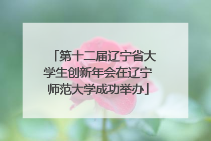 第十二届辽宁省大学生创新年会在辽宁师范大学成功举办