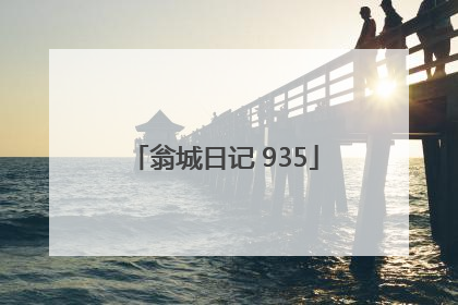 翁城日记 935