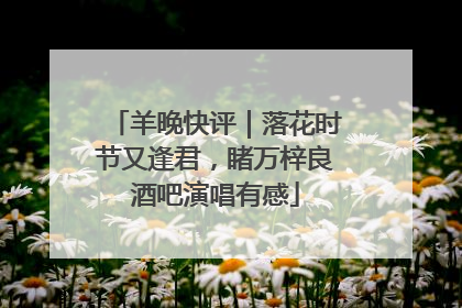 羊晚快评｜落花时节又逢君，睹万梓良酒吧演唱有感