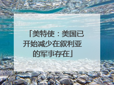 美特使：美国已开始减少在叙利亚的军事存在
