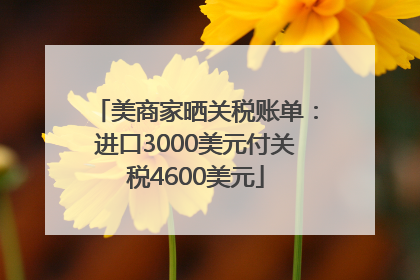 美商家晒关税账单：进口3000美元付关税4600美元