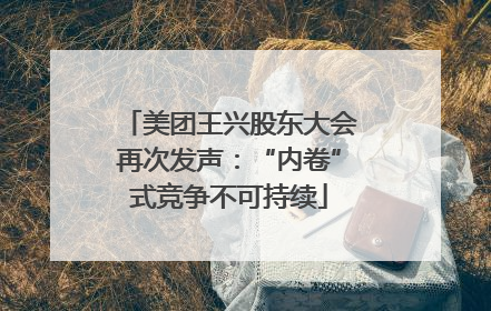 美团王兴股东大会再次发声：“内卷”式竞争不可持续