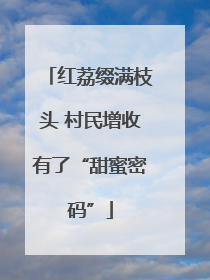红荔缀满枝头 村民增收有了“甜蜜密码”
