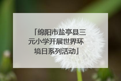绵阳市盐亭县三元小学开展世界环境日系列活动