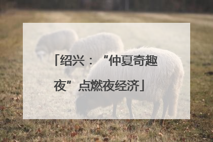 绍兴：“仲夏奇趣夜”点燃夜经济