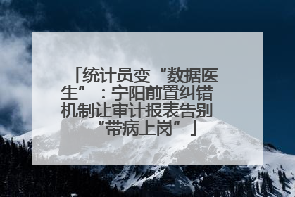 统计员变“数据医生”：宁阳前置纠错机制让审计报表告别“带病上岗”
