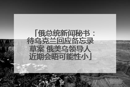 俄总统新闻秘书：待乌克兰回应备忘录草案 俄美乌领导人近期会晤可能性小