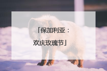 保加利亚：欢庆玫瑰节