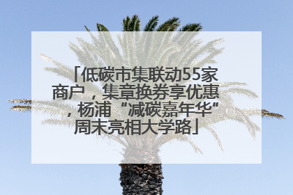 低碳市集联动55家商户，集章换券享优惠，杨浦“减碳嘉年华”周末亮相大学路