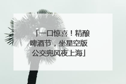 一口惊喜！精酿啤酒节，坐星空版公交兜风夜上海