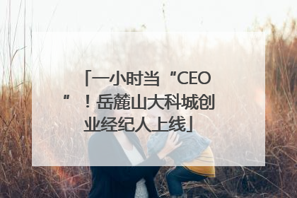 一小时当“CEO”！岳麓山大科城创业经纪人上线