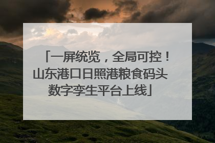 一屏统览，全局可控！山东港口日照港粮食码头数字孪生平台上线