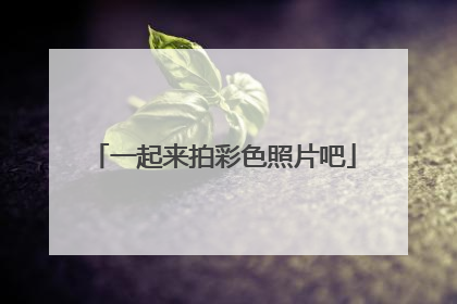 一起来拍彩色照片吧