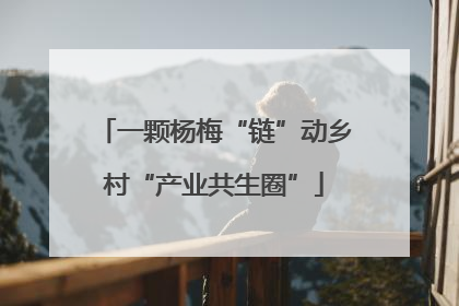 一颗杨梅“链”动乡村“产业共生圈”