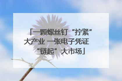 一颗螺丝钉“拧紧”大产业 一张电子凭证“链起”大市场