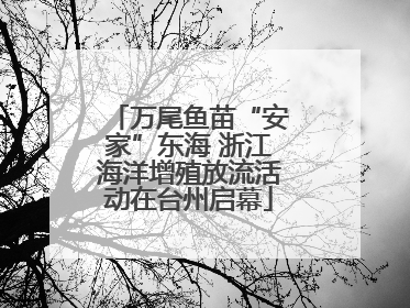 万尾鱼苗“安家”东海 浙江海洋增殖放流活动在台州启幕