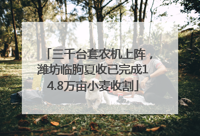 三千台套农机上阵，潍坊临朐夏收已完成14.8万亩小麦收割