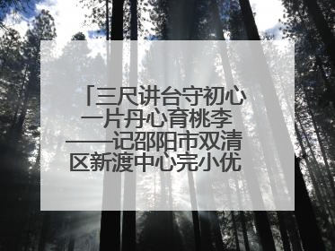三尺讲台守初心 一片丹心育桃李——记邵阳市双清区新渡中心完小优秀教师姚丹