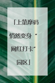 上第摩码悄然变身“网红打卡”园区