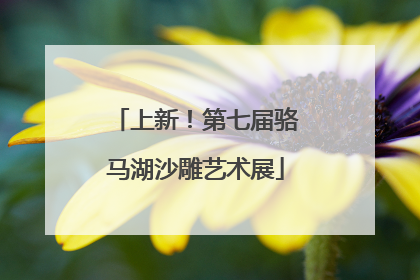上新！第七届骆马湖沙雕艺术展