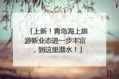 上新！青岛海上旅游新业态进一步丰富，到这里潜水！