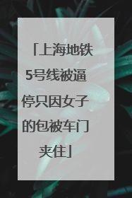 上海地铁5号线被逼停只因女子的包被车门夹住
