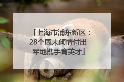 上海市浦东新区：28个周末倾情付出 军地携手育英才