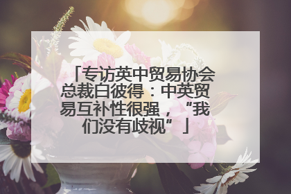 专访英中贸易协会总裁白彼得：中英贸易互补性很强，“我们没有歧视”