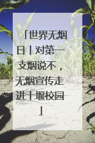 世界无烟日丨对第一支烟说不，无烟宣传走进十堰校园