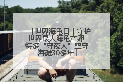 世界海龟日丨守护世界最大海龟产卵 特多“守夜人”坚守海滩30多年