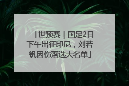 世预赛｜国足2日下午出征印尼，刘若钒因伤落选大名单