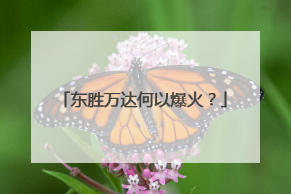 东胜万达何以爆火？