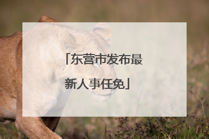 东营市发布最新人事任免