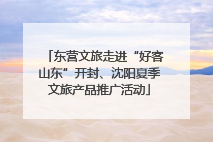 东营文旅走进“好客山东”开封、沈阳夏季文旅产品推广活动