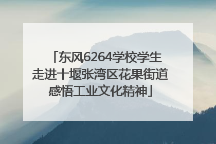 东风6264学校学生走进十堰张湾区花果街道感悟工业文化精神