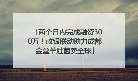 两个月内完成融资300万！政银联动助力成都金堂羊肚菌卖全球
