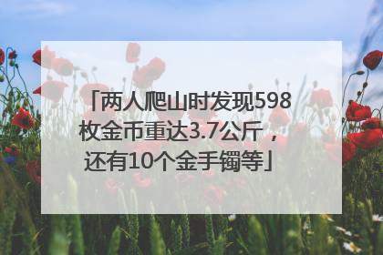 两人爬山时发现598枚金币重达3.7公斤，还有10个金手镯等