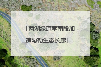 两湖绿道孝南段加速勾勒生态长廊