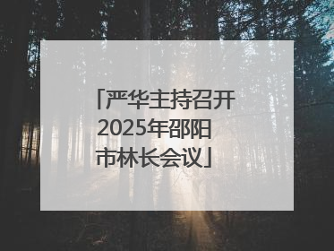 严华主持召开2025年邵阳市林长会议