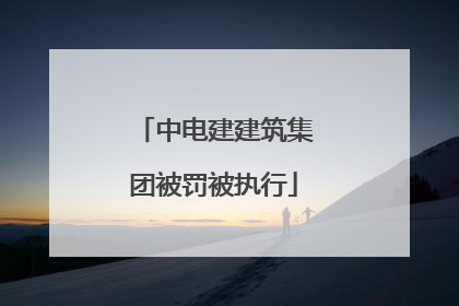 中电建建筑集团被罚被执行