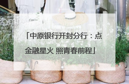 中原银行开封分行：点金融星火 照青春前程